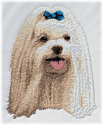 embird embroidery designs
